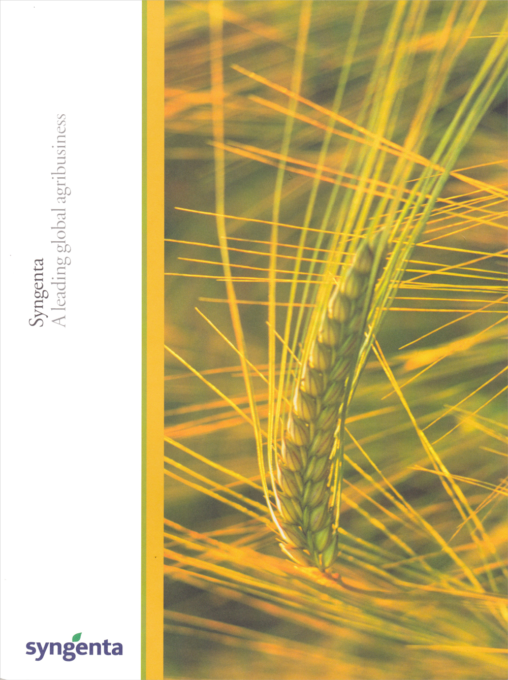 Syngenta Launch Brochure